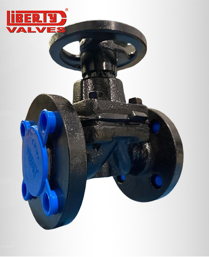 Diaphragm Valve